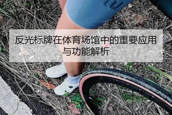 反光标牌在体育场馆中的重要应用与功能解析
