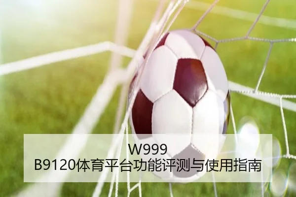 W999 B9120体育平台功能评测与使用指南