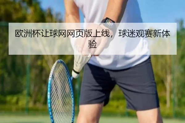 欧洲杯让球网网页版上线，球迷观赛新体验