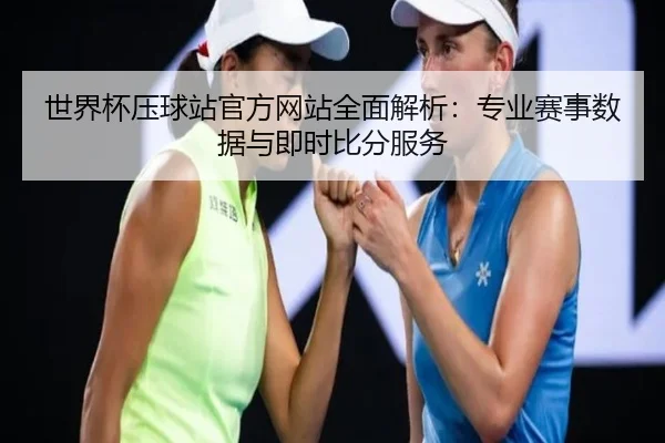 世界杯压球站官方网站全面解析：专业赛事数据与即时比分服务